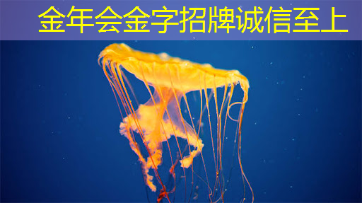 商显智慧屏：实现零售业态的高度个性化