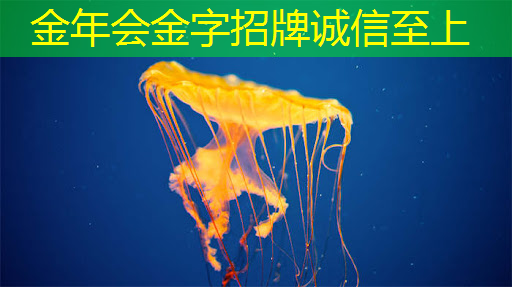 华为智慧星空灯投影灯：将天空的奇迹带入您的卧室