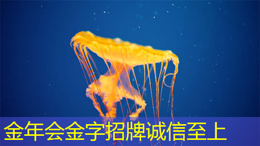 创新科技掌握商机！商显智慧终端成为零售转型利器！