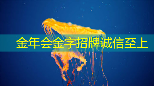 儿童早教投影仪：让孩子爱上学习的秘密武器