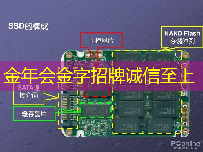 揭示时间与空间的秘密：四维投影与四维智慧的异同对比
