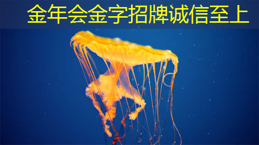 打造独一无二的购物体验：360智慧商显定义行业新标杆！