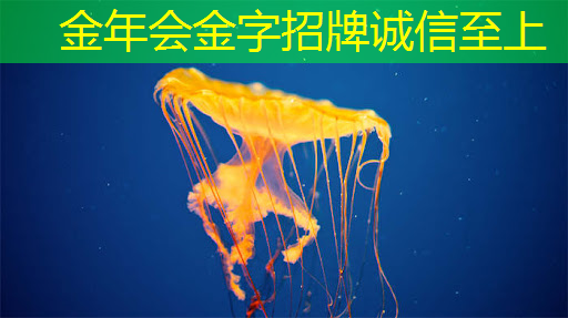 广告业智慧升级，参与智慧商显产业创新大会揭开行业新篇章