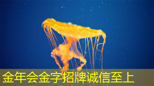 同屏投屏如何实现手机和电视之间的音频同步播放？