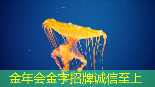 高新区智慧城市运行中心