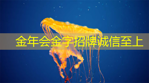 领克智能物流怎么样