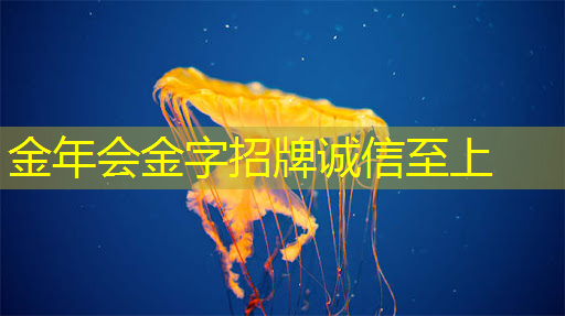 黎光物流园智能化总包
