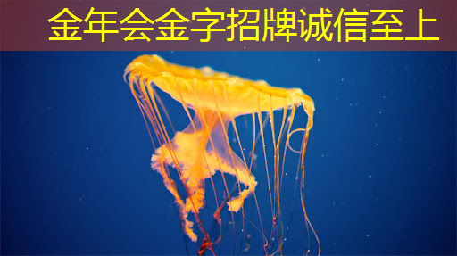 连接5g为什么显示无法访问互联网