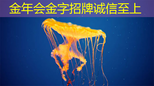 聚焦商显智慧转型，创新大会推动产业优化升级
