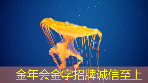 第五届国际智慧城市论坛