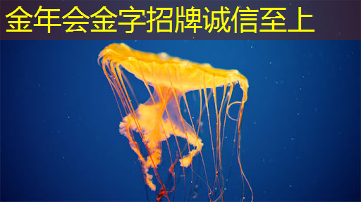 猇亭区物流智能营销推广