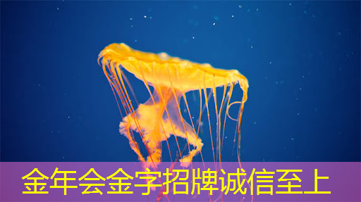 智慧海南对城市的影响研究