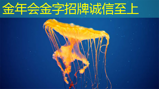 智慧城市有哪六大方面