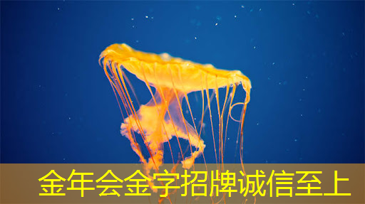 小到大,镜像投屏或同屏让你的手机瞬间变身影音界领袖! 小到大,镜像投屏或同屏让你的手机瞬间变身影音界领袖!