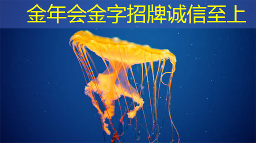 金阳绿色智能物流园