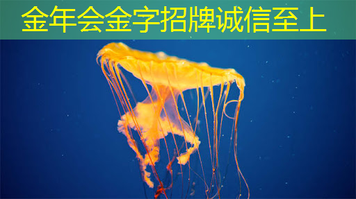 智能物流分层级 智能物流分层级