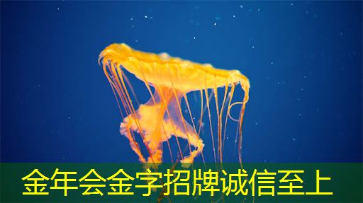 智慧城市路灯的项目需求有哪些 智慧城市路灯的项目需求有哪些