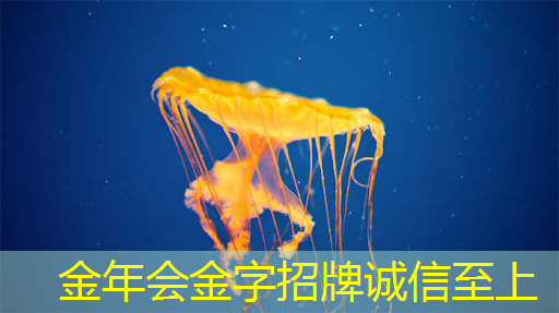 具体智慧城市案例研究 具体智慧城市案例研究