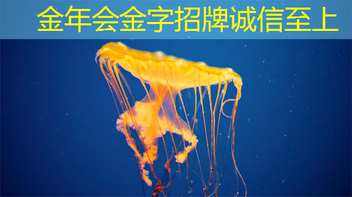大城小事智慧城市智能科技 大城小事智慧城市智能科技