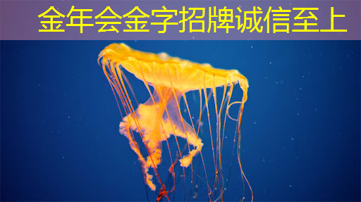 武汉做智慧城市怎么样知乎 武汉做智慧城市怎么样知乎