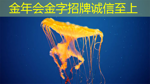 数拓智慧商显:数字化时代下商业新趋势 数拓智慧商显:数字化时代下商业新趋势