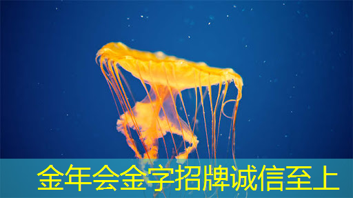 数字化时代下,智慧商显擦亮品牌形象 数字化时代下,智慧商显擦亮品牌形象