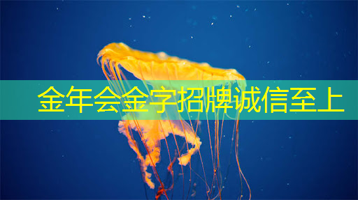 专业展示利器:智慧互动投影仪在营销活动中的运用 专业展示利器:智慧互动投影仪在营销活动中的运用