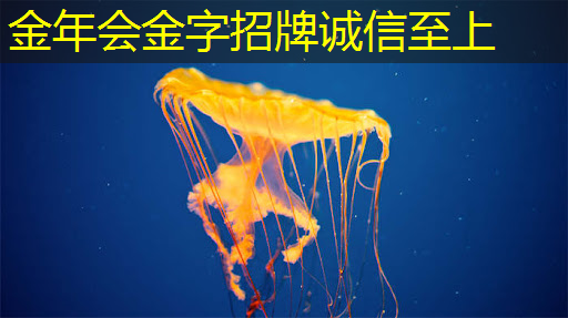如何判断主控芯片解码器的性能指标是否符合需求? 如何判断主控芯片解码器的性能指标是否符合需求?