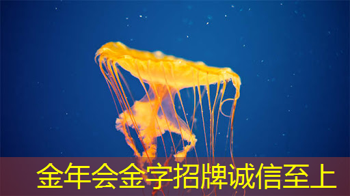 探索未知的魅力！智慧投影系统带您踏上创意之旅