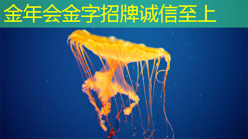 创造美好回忆,智慧投影系统见证每一刻精彩瞬间 创造美好回忆,智慧投影系统见证每一刻精彩瞬间
