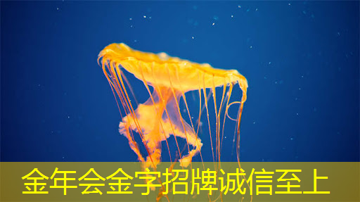 科技赋能商业展示,智慧商显释放巨大潜能 科技赋能商业展示,智慧商显释放巨大潜能