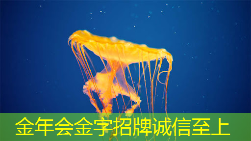 商业表现的新利器!智能LED商显大放异彩 商业表现的新利器!智能LED商显大放异彩