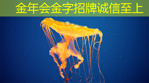 实时互动,畅享智能体验:智慧互动投影仪的新功能 实时互动,畅享智能体验:智慧互动投影仪的新功能