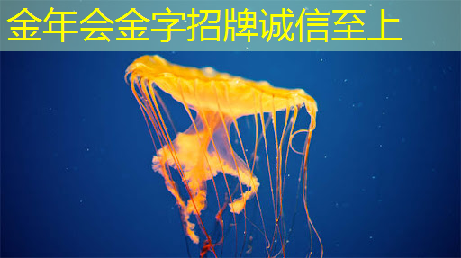 投影未来趋势!智慧型投影手环重塑数字娱乐方式 投影未来趋势!智慧型投影手环重塑数字娱乐方式