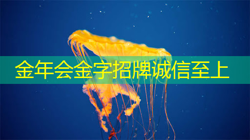 互联网思维赋能商业展示:智慧商显的未来趋势 互联网思维赋能商业展示:智慧商显的未来趋势