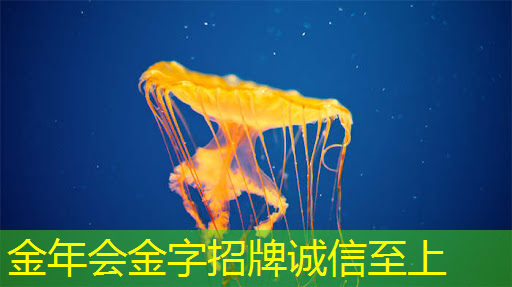 随时随地实现分享!无线投屏器让你投屏同屏两不误 随时随地实现分享!无线投屏器让你投屏同屏两不误
