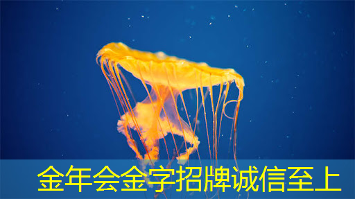 手机wifi投屏解析度和画质有关吗?你真正需要知道的是…… 手机wifi投屏解析度和画质有关吗?你真正需要知道的是……