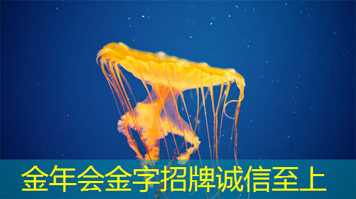 让不同屏幕同时播放相同内容,投屏与同屏带给你多重惊喜! 让不同屏幕同时播放相同内容,投屏与同屏带给你多重惊喜!