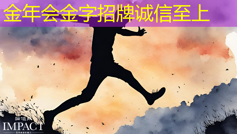 从中国芯片到高合H 从中国芯片到高合H