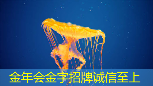 查理芒格:半导体不是好生意,芯片需要不断迭代,不断砸钱 查理芒格:半导体不是好生意,芯片需要不断迭代,不断砸钱