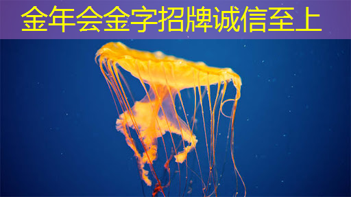 美国5年极限打压,中国芯片万亿出口背后的秘密! 美国5年极限打压,中国芯片万亿出口背后的秘密!