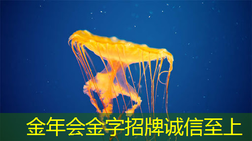配备超16000个GH200超级芯片,亚马逊云科技与英伟达共推云AI超级计算机 配备超16000个GH200超级芯片,亚马逊云科技与英伟达共推云AI超级计算机