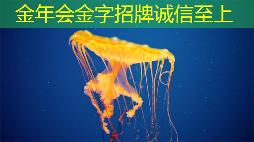 驱动未来:深入解读汽车芯片的关键角色 驱动未来:深入解读汽车芯片的关键角色