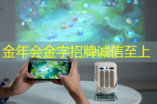 芯片中的电源管理:PMU、BUCK 和 LDO 芯片中的电源管理:PMU、BUCK 和 LDO