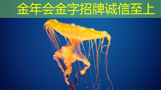 “未来科技新篇章:谷歌量子芯片5分钟实现惊人计算” “未来科技新篇章:谷歌量子芯片5分钟实现惊人计算”