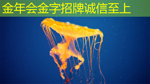 Meta首次公布AI芯片细节 功耗低于英伟达 Meta首次公布AI芯片细节 功耗低于英伟达