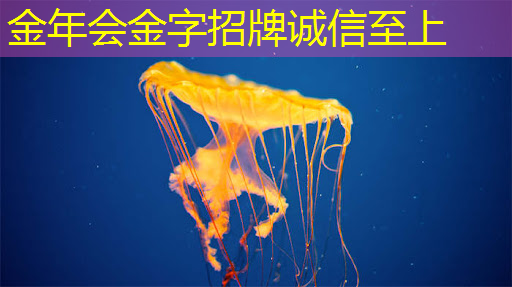 企业丨芯海科技:以芯片和算法,助力智能家电升级 企业丨芯海科技:以芯片和算法,助力智能家电升级