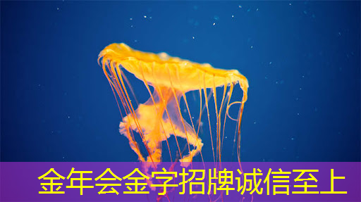 38页研究报告|显示驱动芯片的进击,面板产业链最后一块拼图 38页研究报告|显示驱动芯片的进击,面板产业链最后一块拼图