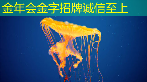 荣誉丨矽睿科技“单芯片集成磁传感器”项目喜获“IC创新奖”成果产业化奖