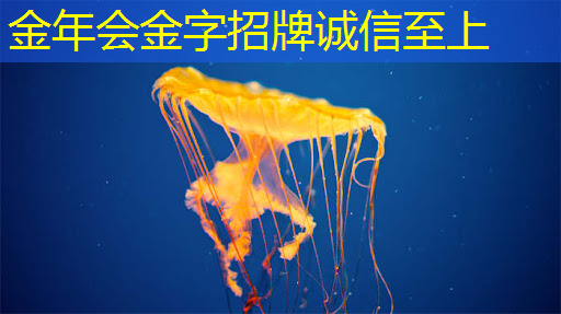 用于边缘AI的神经形态芯片问世 兼具高效率和通用性 用于边缘AI的神经形态芯片问世 兼具高效率和通用性